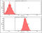 Nanog Homeobox antibody, GTX57553, GeneTex, Flow Cytometry image 