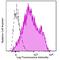 Integrin Subunit Alpha 5 antibody, 103816, BioLegend, Flow Cytometry image 