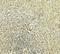 IKAROS Family Zinc Finger 2 antibody, LS-C336262, Lifespan Biosciences, Immunohistochemistry frozen image 