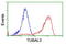 Tubulin Alpha Like 3 antibody, LS-C173524, Lifespan Biosciences, Flow Cytometry image 