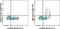 IgM antibody, 63-5790-82, Invitrogen Antibodies, Flow Cytometry image 