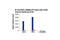 T-Box 21 antibody, 13232P, Cell Signaling Technology, Chromatin Immunoprecipitation image 