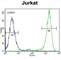 Eukaryotic Translation Initiation Factor 4E antibody, abx025209, Abbexa, Western Blot image 