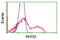 Ras Homolog Family Member D antibody, LS-C173500, Lifespan Biosciences, Flow Cytometry image 