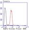 Tripartite Motif Containing 28 antibody, NBP2-67786, Novus Biologicals, Flow Cytometry image 