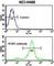 Receptor Tyrosine Kinase Like Orphan Receptor 1 antibody, abx033601, Abbexa, Western Blot image 