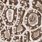 Glutathione S-Transferase Kappa 1 antibody, NBP1-89726, Novus Biologicals, Immunohistochemistry paraffin image 