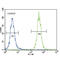 Coiled-Coil Domain Containing 85C antibody, abx025755, Abbexa, Flow Cytometry image 