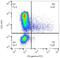 Interferon Gamma antibody, GTX00484-06, GeneTex, Flow Cytometry image 