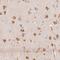 Reticulocalbin 3 antibody, NBP2-38627, Novus Biologicals, Immunohistochemistry frozen image 