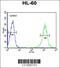 Beta-1,4-Galactosyltransferase 1 antibody, 63-690, ProSci, Flow Cytometry image 