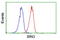 Bridging Integrator 3 antibody, LS-C172421, Lifespan Biosciences, Flow Cytometry image 