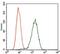 Glypican 3 antibody, GTX60603, GeneTex, Flow Cytometry image 