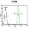 MutS Homolog 2 antibody, abx026331, Abbexa, Western Blot image 