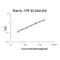 Interleukin 17F antibody, EK1136, Boster Biological Technology, Enzyme Linked Immunosorbent Assay image 