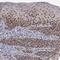 TRNA Methyltransferase 2 Homolog A antibody, NBP1-92016, Novus Biologicals, Immunohistochemistry frozen image 
