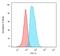 CD74 Molecule antibody, GTX34552, GeneTex, Flow Cytometry image 