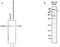 Tetratricopeptide repeat protein 37 antibody, GTX60845, GeneTex, Western Blot image 