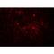 Jagged Canonical Notch Ligand 1 antibody, LS-B12144, Lifespan Biosciences, Immunofluorescence image 