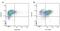 Ig gamma-1 chain C region, membrane-bound form antibody, STAR74, Bio-Rad (formerly AbD Serotec) , Enzyme Linked Immunosorbent Assay image 