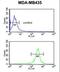 Exostosin Like Glycosyltransferase 3 antibody, LS-C167869, Lifespan Biosciences, Flow Cytometry image 