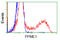 Protein Phosphatase Methylesterase 1 antibody, LS-C114896, Lifespan Biosciences, Flow Cytometry image 