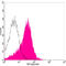 Formimidoyltransferase Cyclodeaminase antibody, LS-C203157, Lifespan Biosciences, Flow Cytometry image 