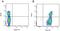 Ig gamma-2A chain C region, membrane-bound form antibody, STAR133F, Bio-Rad (formerly AbD Serotec) , Immunohistochemistry frozen image 