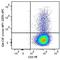 Colony Stimulating Factor 3 antibody, 505413, BioLegend, Flow Cytometry image 