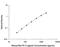 Fms Related Tyrosine Kinase 3 Ligand antibody, MFK00, R&D Systems, Enzyme Linked Immunosorbent Assay image 