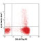 Interferon Gamma antibody, 502522, BioLegend, Immunocytochemistry image 