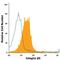 Integrin Subunit Beta 6 antibody, MA5-23675, Invitrogen Antibodies, Flow Cytometry image 