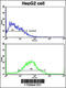 Pumilio RNA Binding Family Member 2 antibody, 63-175, ProSci, Flow Cytometry image 