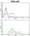 Protein Disulfide Isomerase Family A Member 6 antibody, abx032923, Abbexa, Flow Cytometry image 