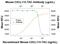 C-X-C Motif Chemokine Ligand 11 antibody, AF572, R&D Systems, Western Blot image 