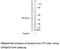 Component Of Inhibitor Of Nuclear Factor Kappa B Kinase Complex antibody, MBS001871, MyBioSource, Western Blot image 