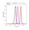 Hyperpolarization Activated Cyclic Nucleotide Gated Potassium And Sodium Channel 2 antibody, PA1-918, Invitrogen Antibodies, Flow Cytometry image 