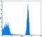 RAB5B, Member RAS Oncogene Family antibody, orb11629, Biorbyt, Flow Cytometry image 