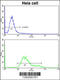 Protein Disulfide Isomerase Family A Member 6 antibody, 62-386, ProSci, Flow Cytometry image 