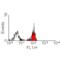 4F2hc antibody, MCA1105G, Bio-Rad (formerly AbD Serotec) , Flow Cytometry image 