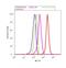 HNF1 Homeobox B antibody, 720259, Invitrogen Antibodies, Flow Cytometry image 