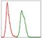 S-Phase Kinase Associated Protein 1 antibody, NBP2-37522, Novus Biologicals, Flow Cytometry image 