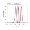 GATA Binding Protein 1 antibody, 710049, Invitrogen Antibodies, Flow Cytometry image 