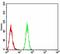 Atlastin GTPase 2 antibody, orb325503, Biorbyt, Flow Cytometry image 