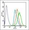Mitogen-Activated Protein Kinase Kinase Kinase 7 antibody, orb7047, Biorbyt, Flow Cytometry image 