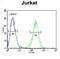 Hydroxyacyl-CoA Dehydrogenase Trifunctional Multienzyme Complex Subunit Beta antibody, abx034545, Abbexa, Flow Cytometry image 