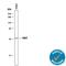 Eukaryotic Translation Initiation Factor 2 Alpha Kinase 2 antibody, AF1980, R&D Systems, Western Blot image 