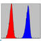 Component Of Inhibitor Of Nuclear Factor Kappa B Kinase Complex antibody, LS-C814022, Lifespan Biosciences, Flow Cytometry image 