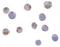 C1q And TNF Related 6 antibody, NBP1-77218, Novus Biologicals, Immunofluorescence image 