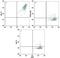 Immunoglobulin Heavy Constant Gamma 1 (G1m Marker) antibody, FAB110A, R&D Systems, Flow Cytometry image 